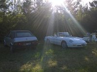 10511229 10203257823439269 3218705066802842676 n  *