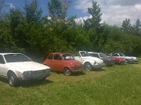 10514667 10203257804918806 4698099987121119164 n  *