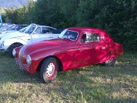 1607085 10203257794718551 5412744219861754342 n  *