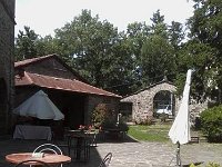 13530339 494133567442215 785456355 n