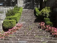 13530577 494133310775574 1897890564 n