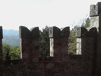 13535776 494133447442227 207868723 n