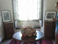 13536125 494133460775559 1719417792 n