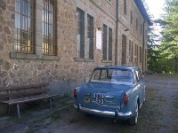 13432245 10208299760044533 5416674381460034411 n