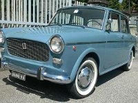 13532885 10206476172482879 5223084853563760865 n