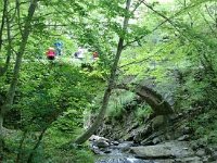 1003960 10200836647631387 1644059082 n  *