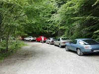 1005183 10200836626630862 1882237530 n  *