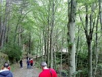 1006201 10200836628790916 1038978334 n  *