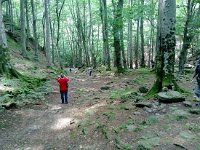 1011724 10200836636071098 1057373801 n  *