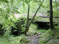 1045116 10200836644351305 203331247 n  *