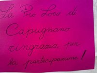 971482 10200836608870418 707485547 n  *