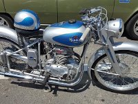 13438825 1070875466332438 2682619374174457152 n