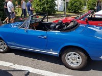 13529196 1070875109665807 1708778323841631824 n