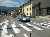 13558868 10206524913821382 6757671349916647418 o