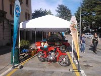 10418853 10204016659169688 1947256399532907029 n