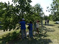 10262055 592804964166863 1822621561183748634 n  *