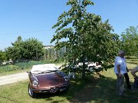 10363099 592781454169214 3284424317837149008 n  *