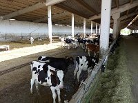 10406951 592781794169180 1283766143408669695 n  *