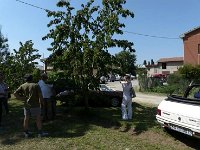 10441435 592804927500200 1412724655991253959 n  *