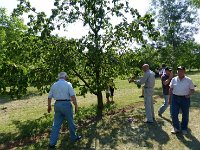 10455838 592804990833527 1415919867035995544 n  *