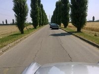 10444706 10203121394188623 5145930508410146858 n  *