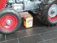 13330954 1069369683102382 8149226706113250797 n