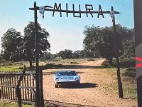 13344495 10208782726237055 3401746123724923418 n