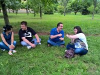 WP 20160605 16 35 46 Pro