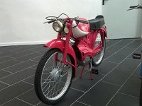 13333005 10206353266010294 5587676404753766059 n