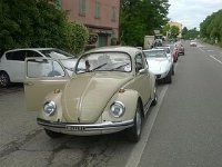 13344654 10206353304251250 3023683516549292150 n